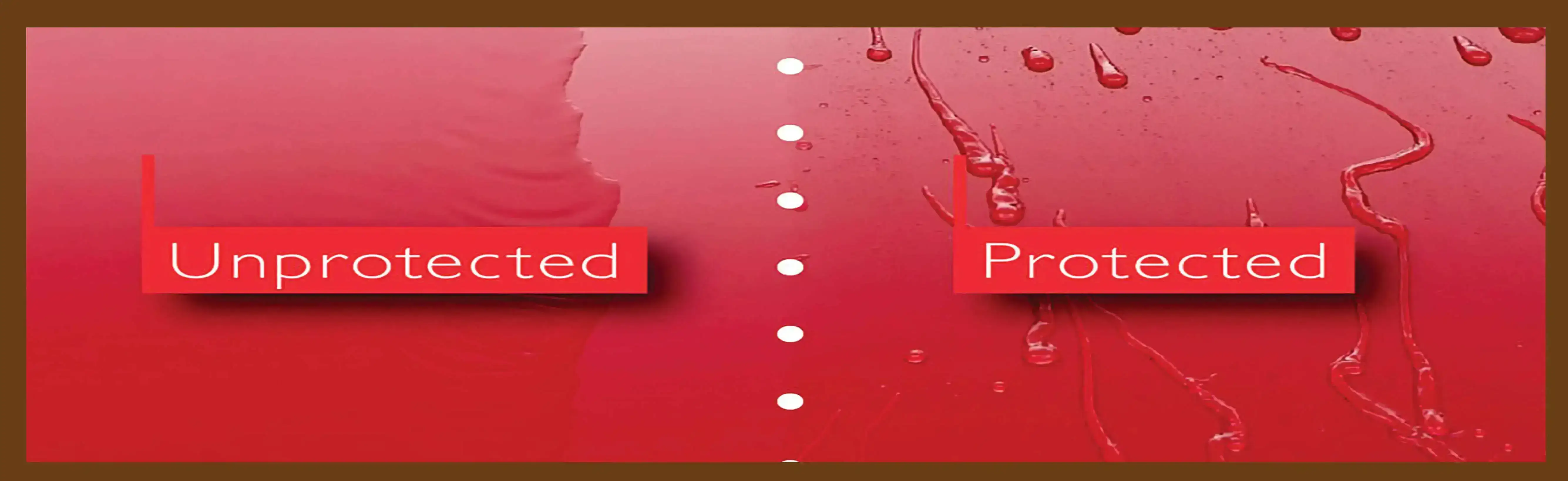 Ceramic Coating Service